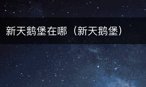 新天鹅堡在哪（新天鹅堡）