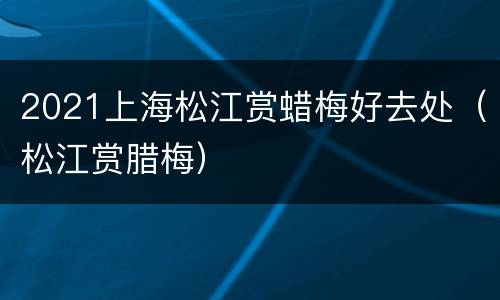 2021上海松江赏蜡梅好去处（松江赏腊梅）
