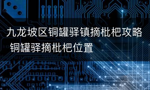 九龙坡区铜罐驿镇摘枇杷攻略 铜罐驿摘枇杷位置