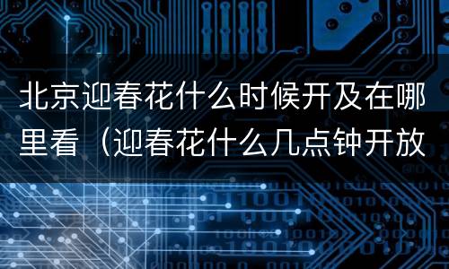 北京迎春花什么时候开及在哪里看（迎春花什么几点钟开放）