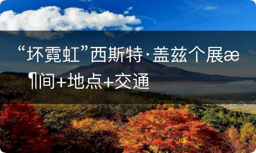  “坏霓虹”西斯特·盖兹个展时间+地点+交通