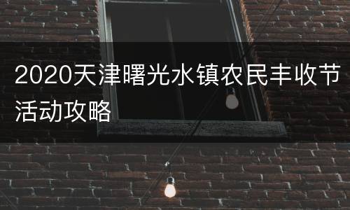 2020天津曙光水镇农民丰收节活动攻略