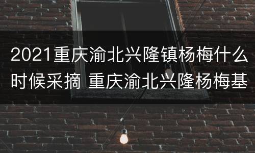 2021重庆渝北兴隆镇杨梅什么时候采摘 重庆渝北兴隆杨梅基地