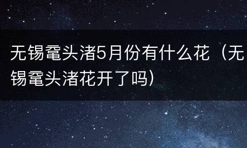 无锡鼋头渚5月份有什么花（无锡鼋头渚花开了吗）