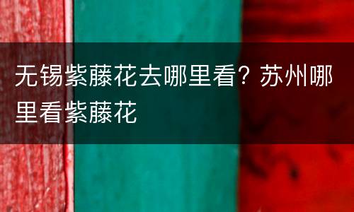 无锡紫藤花去哪里看? 苏州哪里看紫藤花