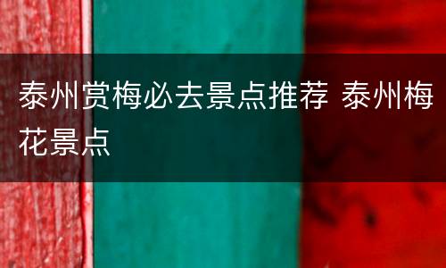泰州赏梅必去景点推荐 泰州梅花景点