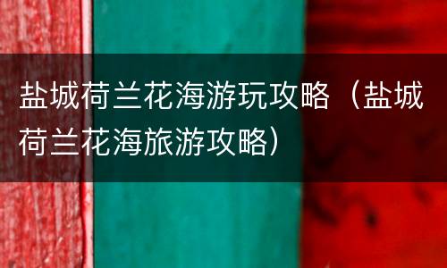盐城荷兰花海游玩攻略（盐城荷兰花海旅游攻略）