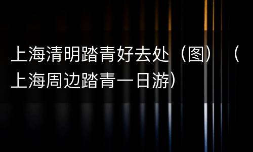 上海清明踏青好去处（图）（上海周边踏青一日游）