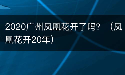 2020广州凤凰花开了吗？（凤凰花开20年）