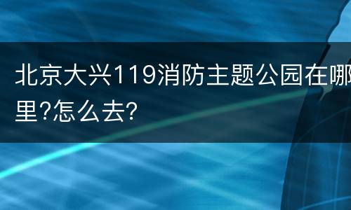 北京大兴119消防主题公园在哪里?怎么去？