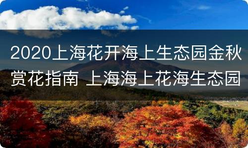 2020上海花开海上生态园金秋赏花指南 上海海上花海生态园