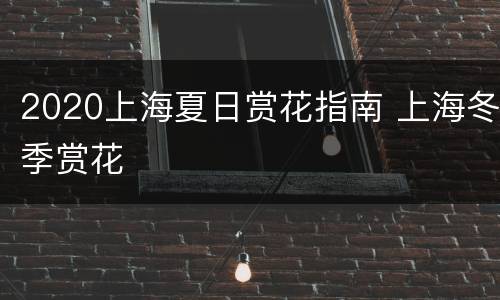 2020上海夏日赏花指南 上海冬季赏花