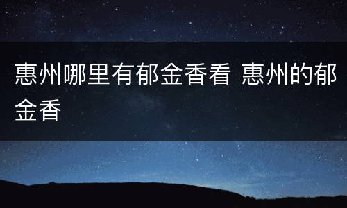 惠州哪里有郁金香看 惠州的郁金香