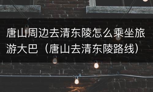 唐山周边去清东陵怎么乘坐旅游大巴（唐山去清东陵路线）