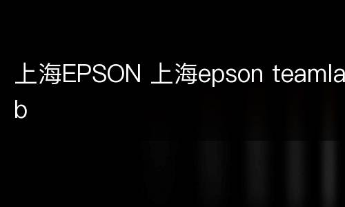 上海EPSON 上海epson teamlab