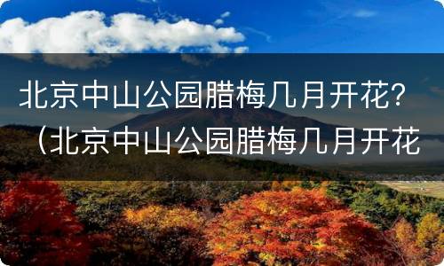 北京中山公园腊梅几月开花？（北京中山公园腊梅几月开花）