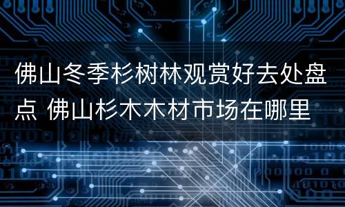 佛山冬季杉树林观赏好去处盘点 佛山杉木木材市场在哪里