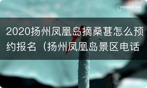 2020扬州凤凰岛摘桑葚怎么预约报名（扬州凤凰岛景区电话）
