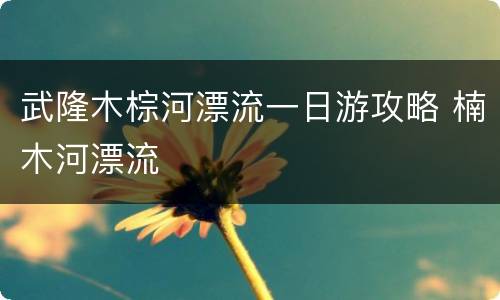 武隆木棕河漂流一日游攻略 楠木河漂流