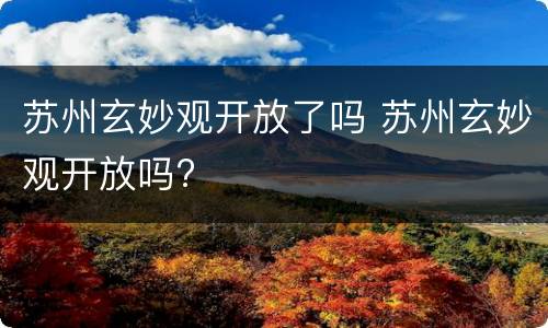 苏州玄妙观开放了吗 苏州玄妙观开放吗?