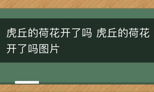虎丘的荷花开了吗 虎丘的荷花开了吗图片