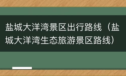 盐城大洋湾景区出行路线（盐城大洋湾生态旅游景区路线）
