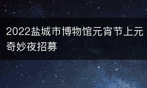 2022盐城市博物馆元宵节上元奇妙夜招募