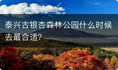 泰兴古银杏森林公园什么时候去最合适？