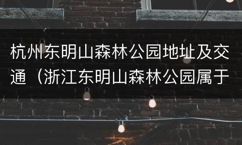 杭州东明山森林公园地址及交通（浙江东明山森林公园属于哪个集团）