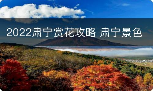 2022肃宁赏花攻略 肃宁景色