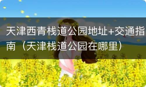 天津西青栈道公园地址+交通指南（天津栈道公园在哪里）