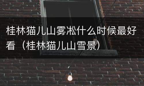 桂林猫儿山雾凇什么时候最好看（桂林猫儿山雪景）