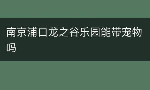 南京浦口龙之谷乐园能带宠物吗