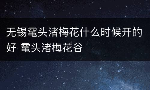 无锡鼋头渚梅花什么时候开的好 鼋头渚梅花谷