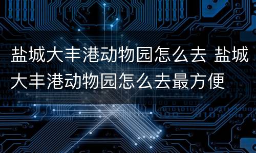 盐城大丰港动物园怎么去 盐城大丰港动物园怎么去最方便