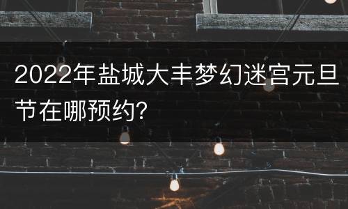 2022年盐城大丰梦幻迷宫元旦节在哪预约？