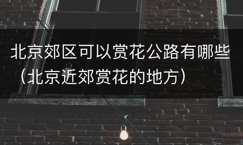 北京郊区可以赏花公路有哪些（北京近郊赏花的地方）
