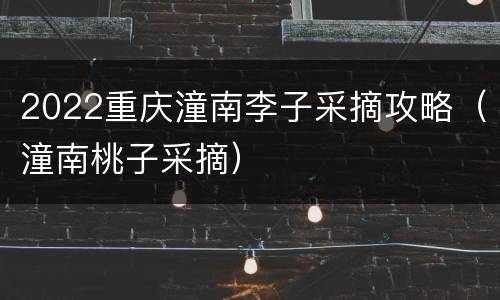 2022重庆潼南李子采摘攻略（潼南桃子采摘）