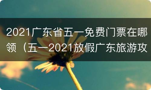 2021广东省五一免费门票在哪领（五一2021放假广东旅游攻略）
