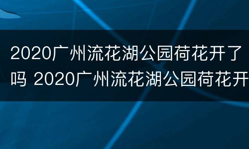 2020广州流花湖公园荷花开了吗 2020广州流花湖公园荷花开了吗图片