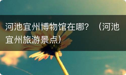 河池宜州博物馆在哪？（河池宜州旅游景点）
