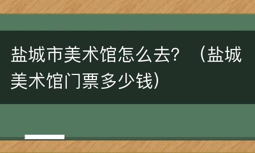 盐城市美术馆怎么去？（盐城美术馆门票多少钱）