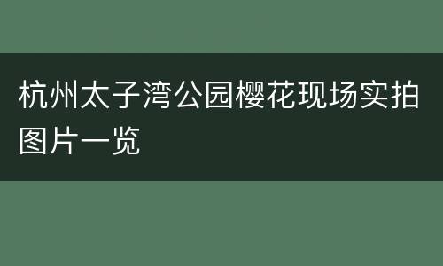 杭州太子湾公园樱花现场实拍图片一览