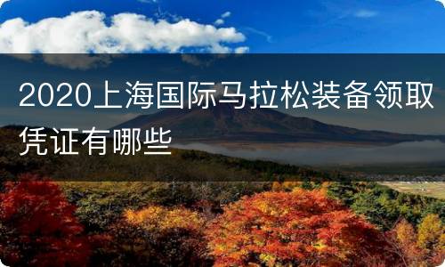2020上海国际马拉松装备领取凭证有哪些