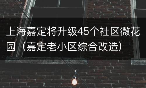 上海嘉定将升级45个社区微花园（嘉定老小区综合改造）