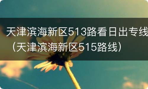 天津滨海新区513路看日出专线（天津滨海新区515路线）