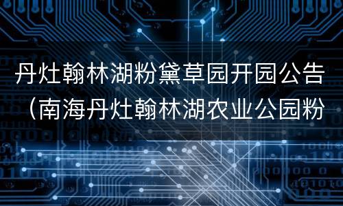丹灶翰林湖粉黛草园开园公告（南海丹灶翰林湖农业公园粉黛草园）