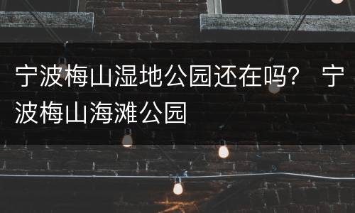 宁波梅山湿地公园还在吗？ 宁波梅山海滩公园