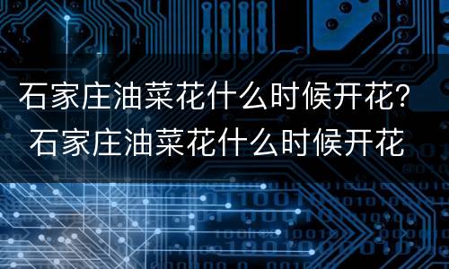 石家庄油菜花什么时候开花？ 石家庄油菜花什么时候开花