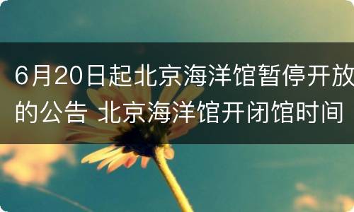 6月20日起北京海洋馆暂停开放的公告 北京海洋馆开闭馆时间